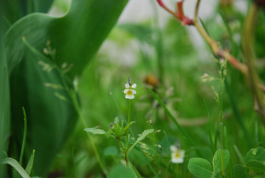 Similar image 21115840