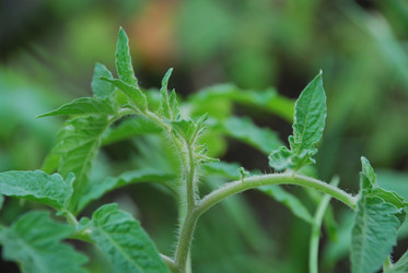 Similar image 21115841