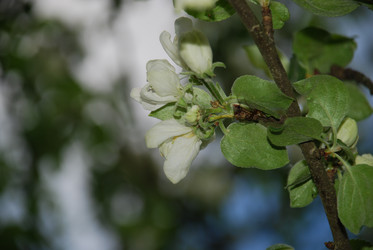 Similar image 21115842