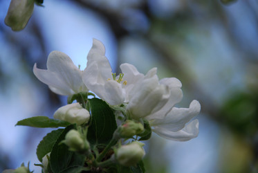 Similar image 21115843