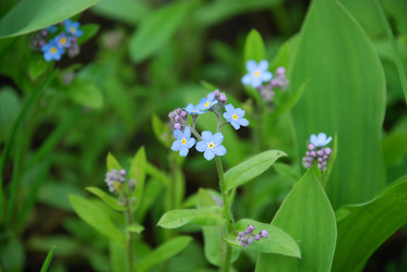 Similar image 21115844