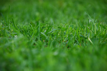 Similar image 21115845