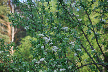 Similar image 21115846