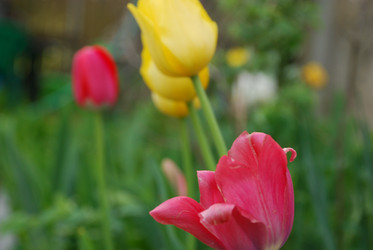 Similar image 21115847