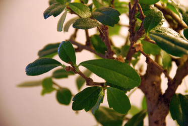 Similar image 21115848