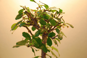 Similar image 21115849