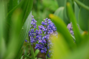 Similar image 21115850