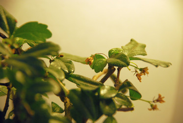 Similar image 21115851