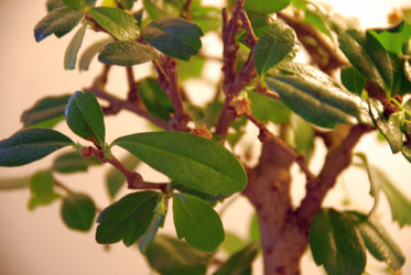 Similar image 21115852