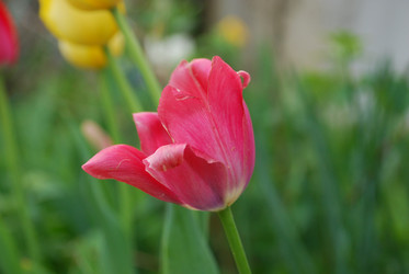 Similar image 21115853