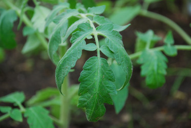 Similar image 21115854