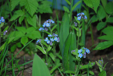 Similar image 21115855