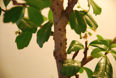 Similar image 21115857