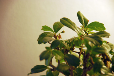 Similar image 21115858