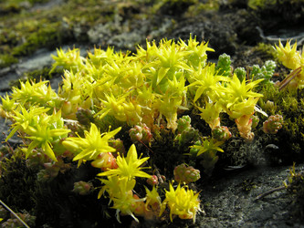 Similar image 21096422