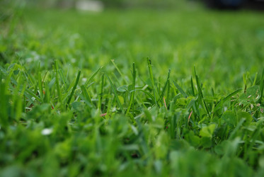 Similar image 21115859