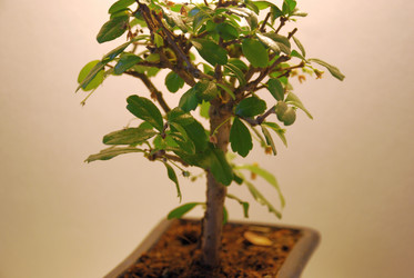 Similar image 21115860