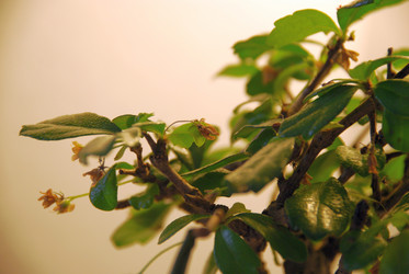 Similar image 21115861