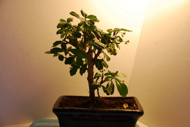 Similar image 21116488