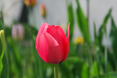 Similar image 21116489