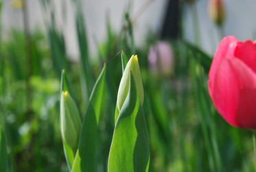 Similar image 21116490