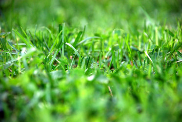 Similar image 21116491