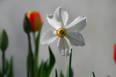 Similar image 21116495