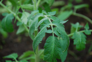 Similar image 21116496