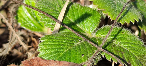 Similar image 21116498