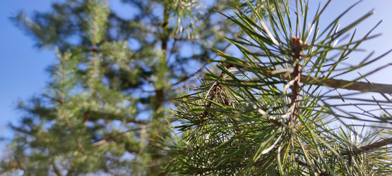 Similar image 21116500