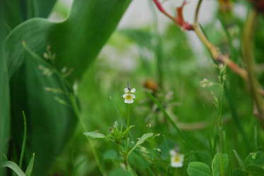 Similar image 21116501