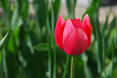 Similar image 21116506