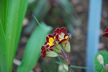 Similar image 21116512