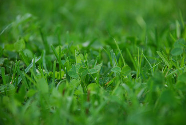 Similar image 21116513