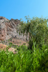 Similar image 21098242