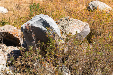 Similar image 21098247