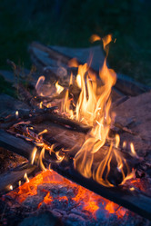 Similar image 21098248