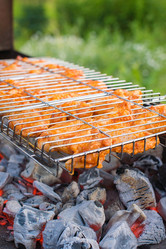 Similar image 21099111