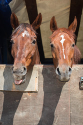 Similar image 21099113