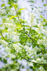 Similar image 21099114