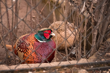 Similar image 21099115