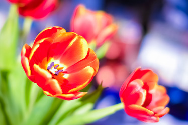 Similar image 21099116