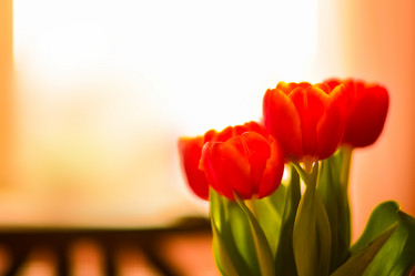 Similar image 21099117