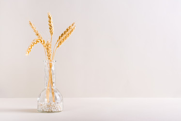 Similar image 21096823