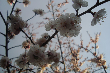 Similar image 21106351