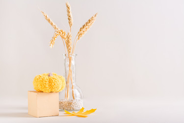 Similar image 21097007