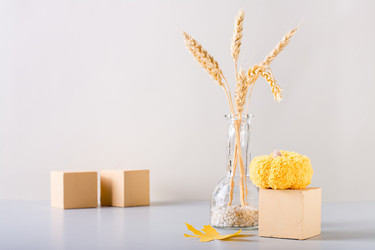 Similar image 21097013