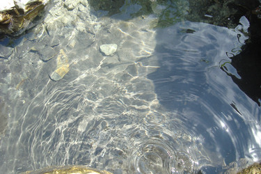 Similar image 21102948