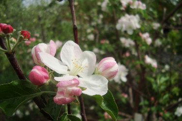 Similar image 21113761