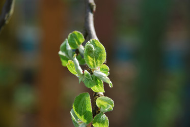 Similar image 21113275